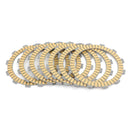 Kopplingssats kopplingsplattor till Triumph Daytona Tiger 955 RS ST 1997-2006