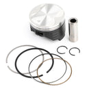 Kolv och ringar set +0,25 mm 73,25 mm hål för Suzuki DR250R DRZ250 AN250 90-07