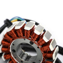 Lichtmaschine Magneto Stator für KLX250 KLX250S KLX250SF D-Tracker X 2008-2016 Generic