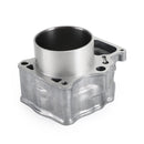 Cylindersats för Honda 12-19 Trx500 Foreman 15-20 Pioneer Sxs500 12100-Hr0-F00