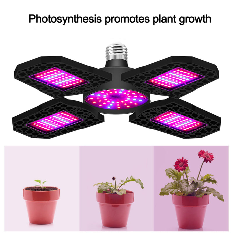 E27 LED Grow Light mit faltbarem Vollspektrum-Wachstumslicht für Zimmerpflanzen