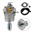 594593 591731 794572 796109 14,5-21 HP 31G777 31H707 Karburátor Karburátor