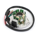 Paso del magneto del estator